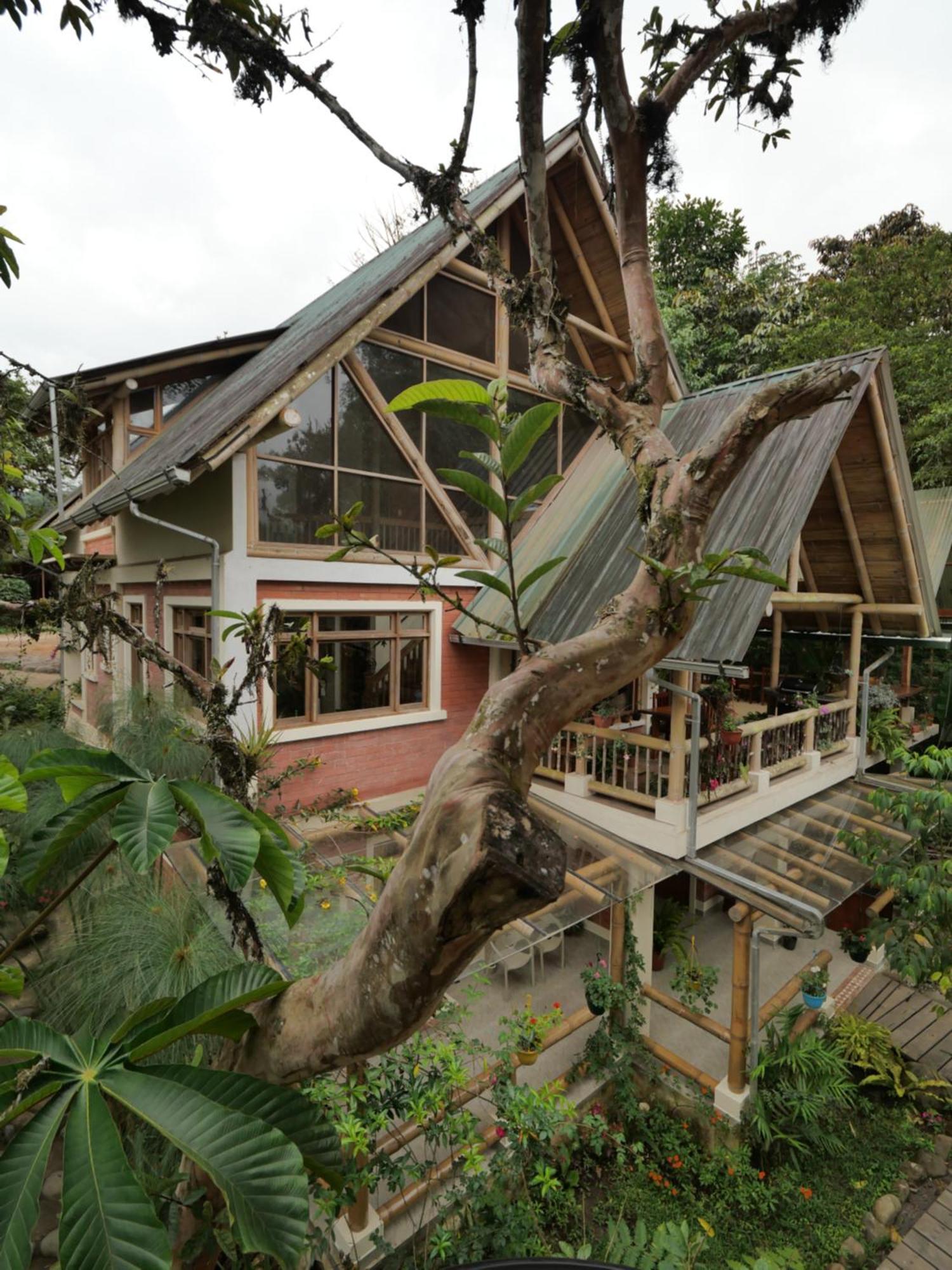 Bed and Breakfast Casa Del Rio En Mindo Exterior foto